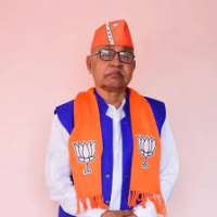 Shree Mansinh Chauhan