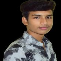 Tejas Chandrashekhar Argulewar